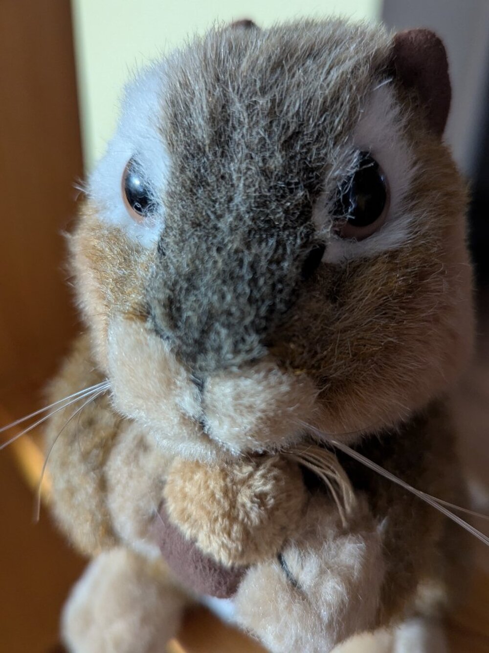 "Peanut" the chipmunk from Stuffed Animal House